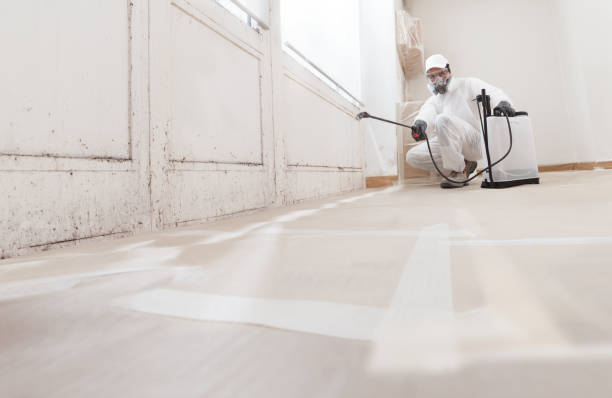 24/7 Emergency Black Mold Remediation experts in Bristol, VA
