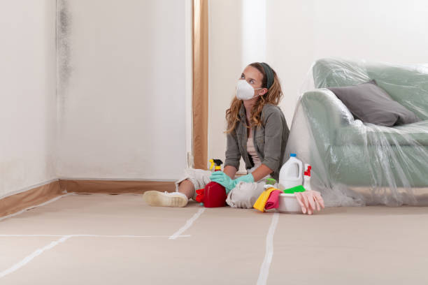 Reliable Black Mold Remediation contractor in Bristol, VA by 24 Hour Mold Removal